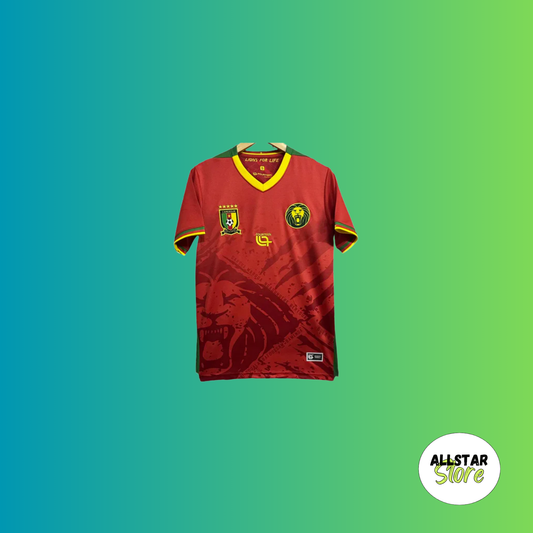 Cameroun extérieur 25/26